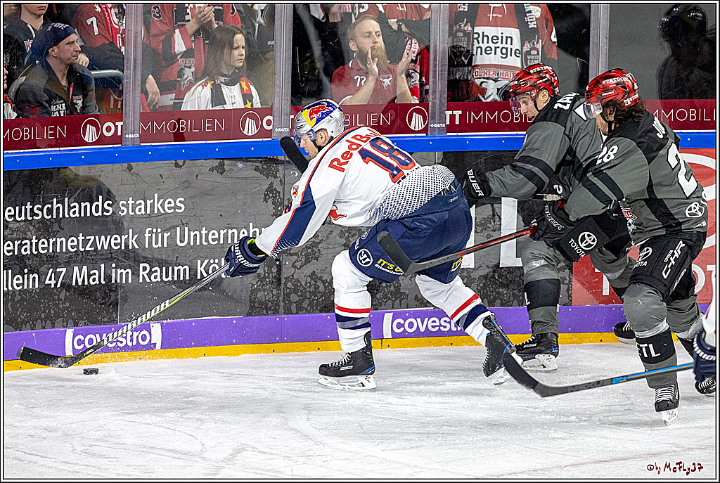 DEL; Koelner Haie - EHC Red Bull Muenchen, 17.02.2019